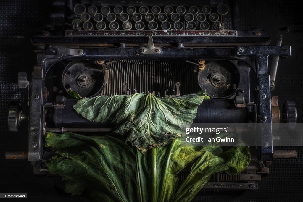Typewriter and Rhubarb