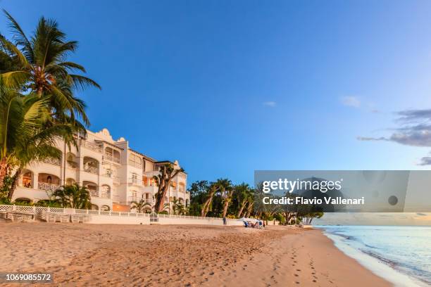 barbados, paynes bay beach - barbados beach stock pictures, royalty-free photos & images