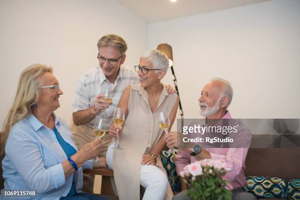 pessoas felizes bebendo vinho - drunk wife at party - fotografias e filmes do acervo