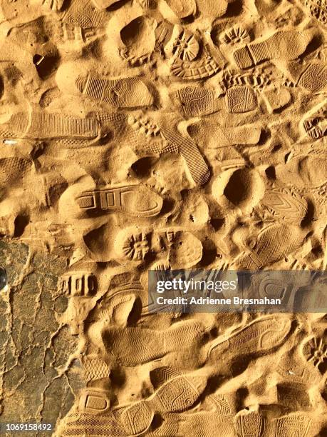chaos of sneaker tracks in the sand - empreinte de chaussures photos et images de collection