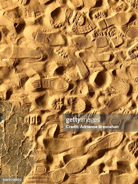 chaos of sneaker tracks in the sand - shoe print trail stock pictures, royalty-free photos & images