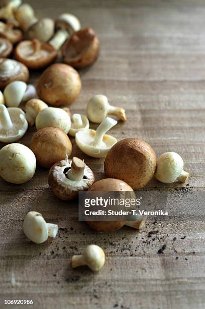 mushroom pattern - white mushroom stockfoto's en -beelden