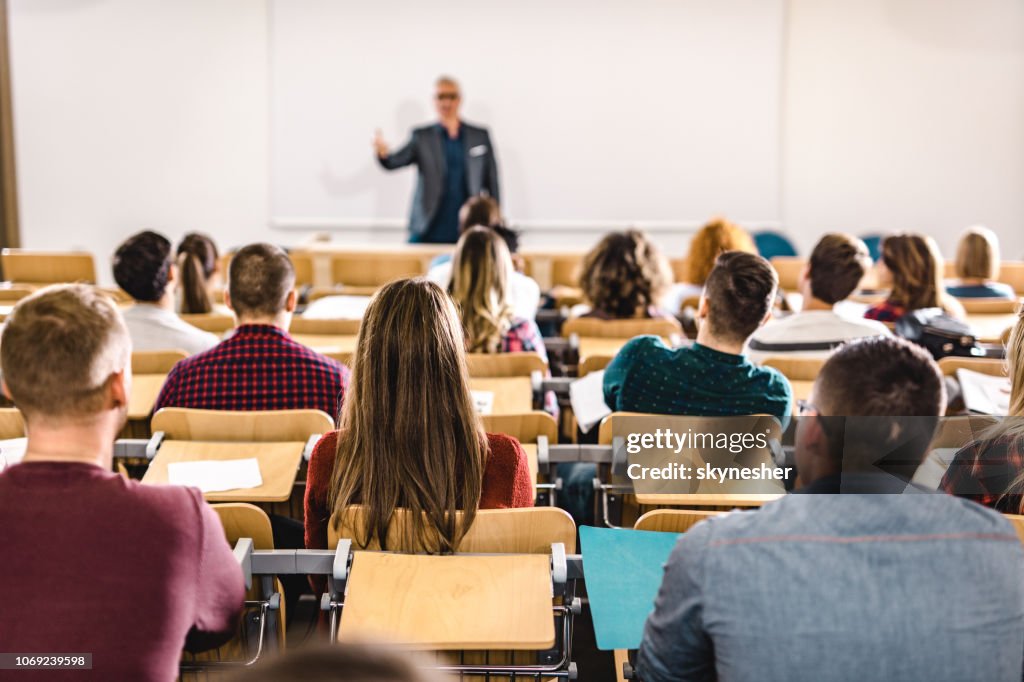 Rear view of large group of students on a class at lecture hall.