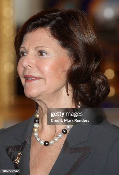 Queen Silvia of Sweden arrives to attend a conference about " vulnerable children on the run" at The Royal Palace on November 17, 2010 in Brussels,...