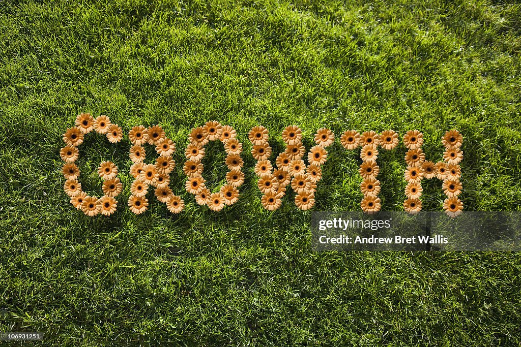 Gerbera Daisies spelling out Growth on a lawn