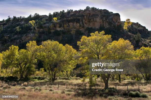 Trees along the North Fork of the Virgin River begin to turn color on November 6, 2018 in Zion National Park, Utah. Zion National Park, located 3...