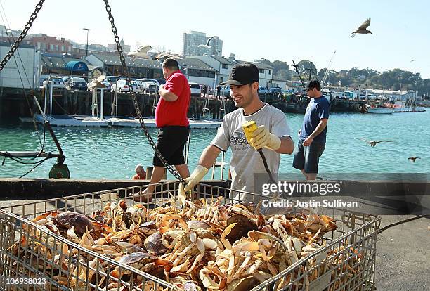 Worker moves a bin of Dungeness Crab after it was offloaded from a fishing vessel on November 17, 2010 in San Francisco, California. After a brief...