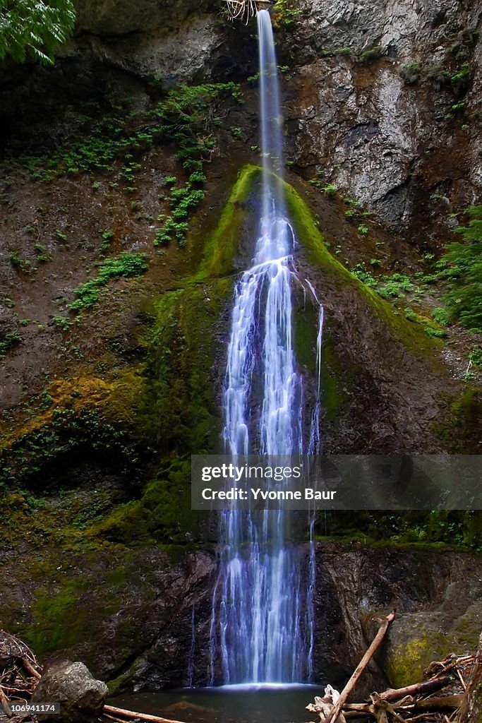 Marymere Falls, Olympic NP