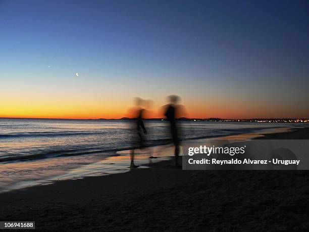 playa mansa - punta del este - fotografias e filmes do acervo