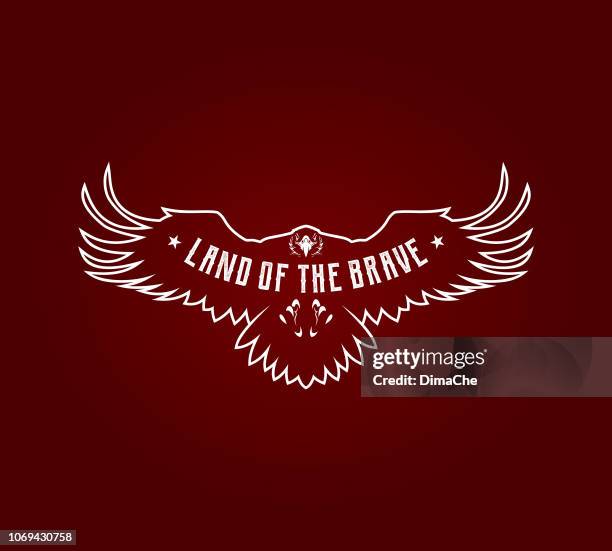 eagle outline silhouette with spread wings. vector bird of prey emblem with replaceable text part - talon stock illustrations