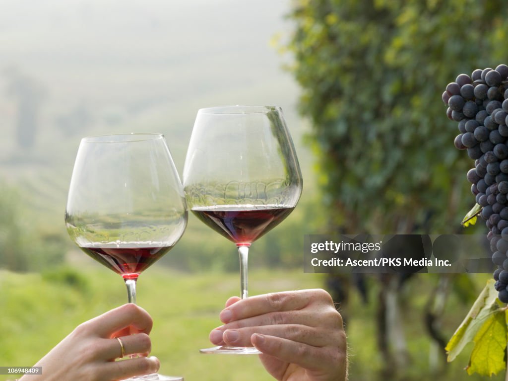 Couple toast with red wine in vineyard