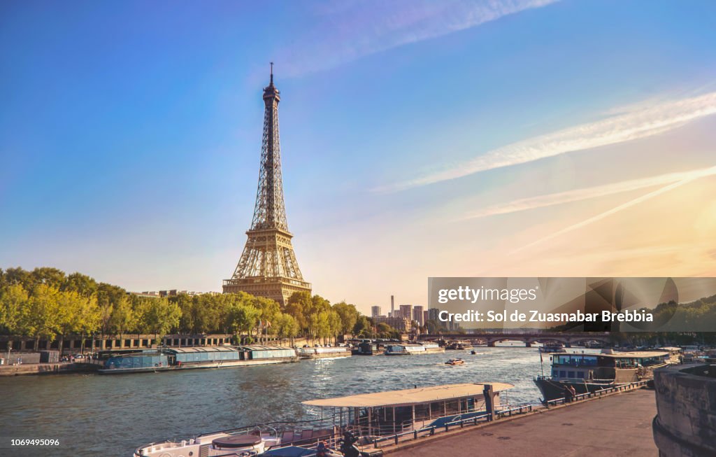 Beautiful image of the Eiffel Tower and the Seine in a magnificent sunny day