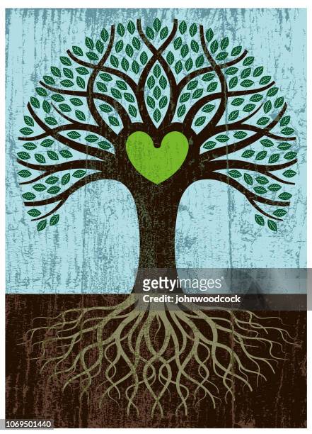 peeling paint big root heart tree - tree roots stock illustrations