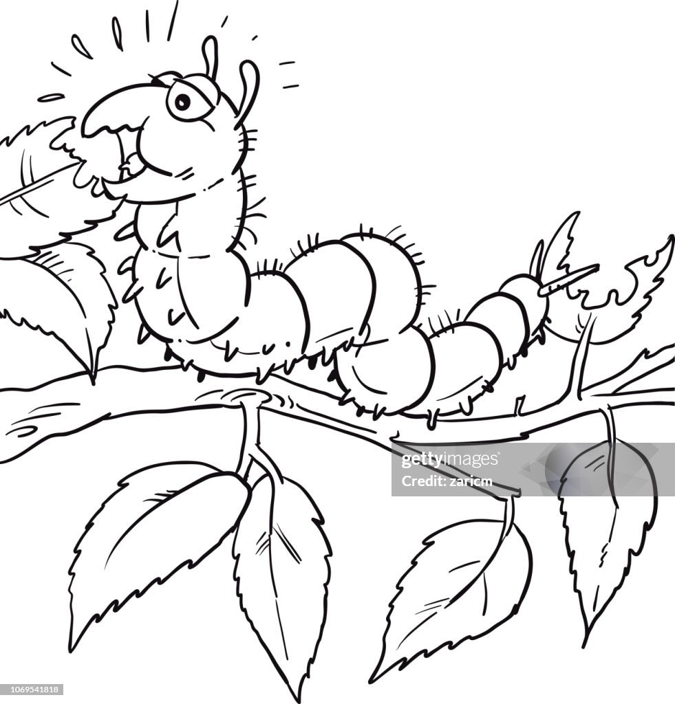 Cartoon Caterpillar Eating Leaf High-Res Vector Graphic - Getty Images