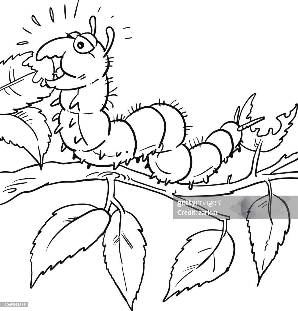Cartoon Caterpillar Eating Leaf High-Res Vector Graphic - Getty Images Cartoon Caterpillar Eating Leaf High-Res Vector Graphic - Getty Images