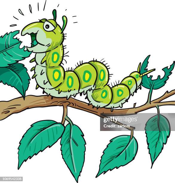 140 Caterpillar Cartoon Photos and Premium High Res Pictures - Getty Images 140 Caterpillar Cartoon Photos and Premium High Res Pictures - Getty Images