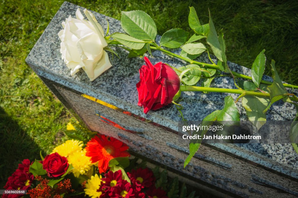 White And Red Rose On Tombstone