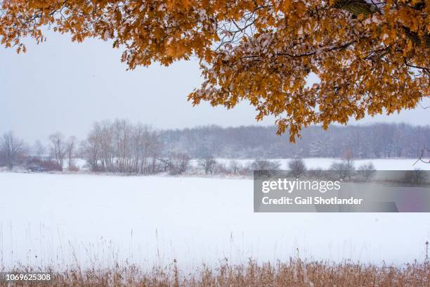 fall framing winter - barrie - fotografias e filmes do acervo