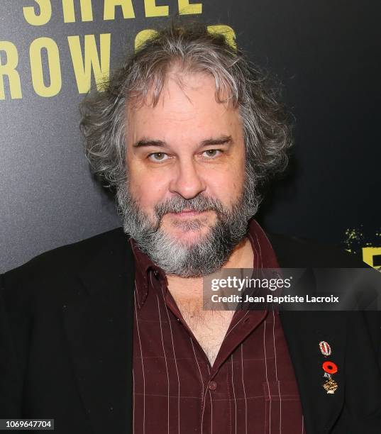 Peter Jackson attends the Warner Bros. Premiere of 'They Shall Not Grow Old' held at Linwood Dunn Theater at the Pickford Center for Motion Study on...