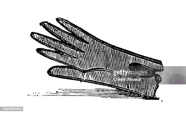 antique engraving illustration: glove - glove stock illustrations