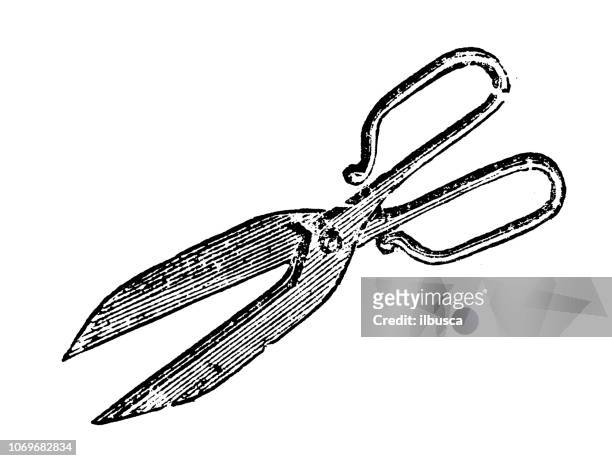 antique engraving illustration: scissors - pruning shears stock illustrations