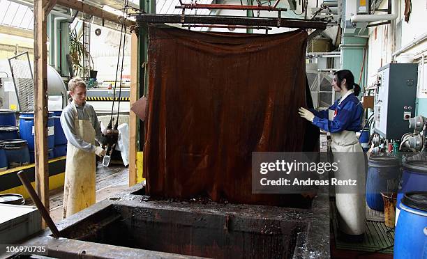 Students controll the sole leather during a tanning process at the LGR tannery school on November 17, 2010 in Reutlingen, Germany. Sole leather...