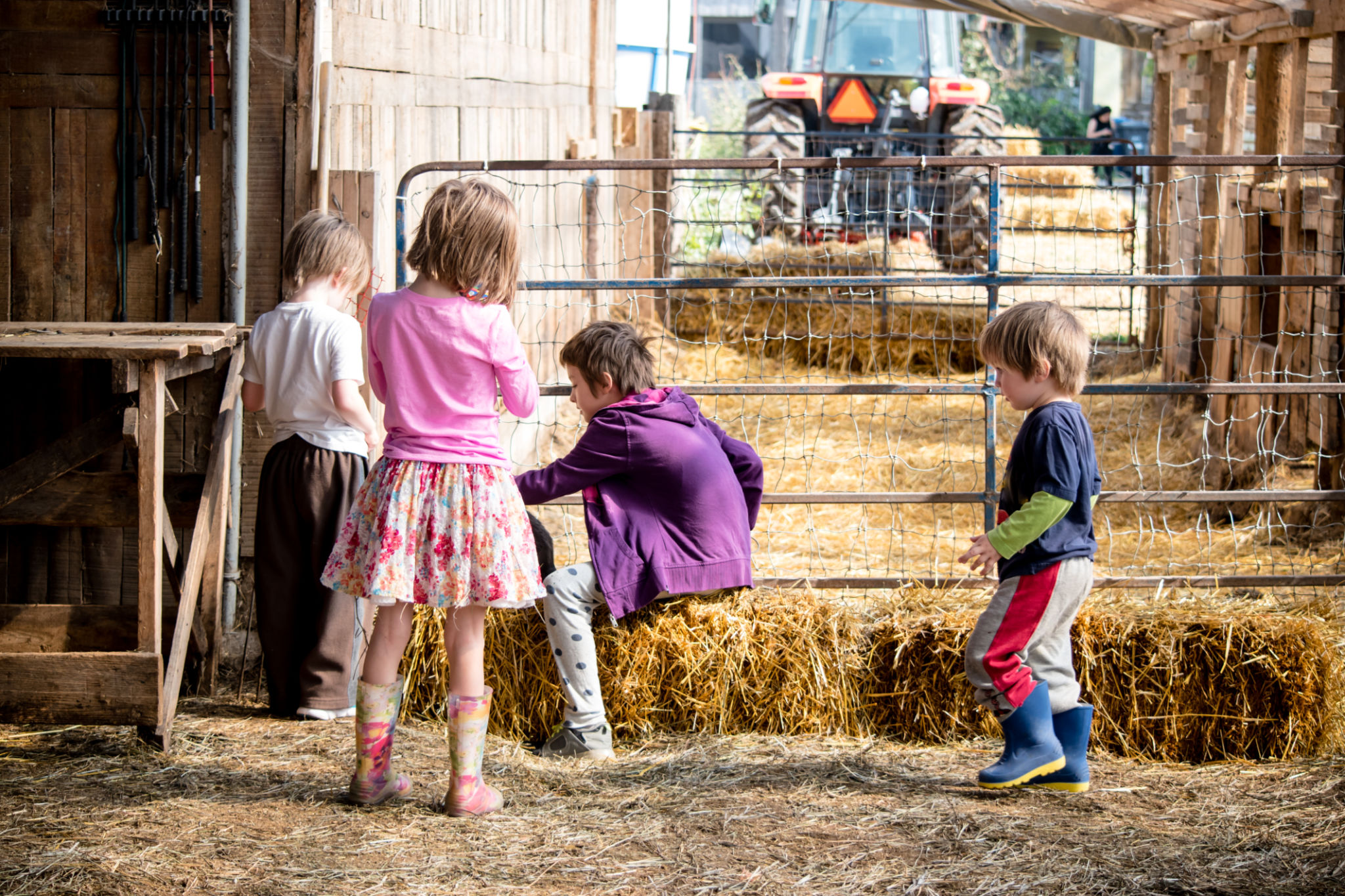 kids playing farm