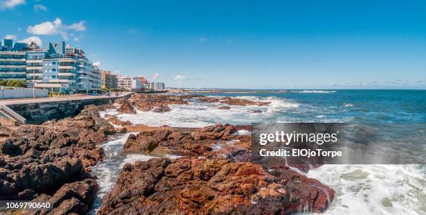 view of punta del este city, uruguay - punta del este stock pictures, royalty-free photos & images