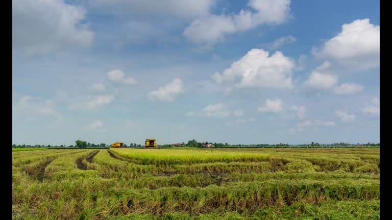 Sabak 14 Sabak Stock Videos, Footage, & 4K Video Clips - Getty Images