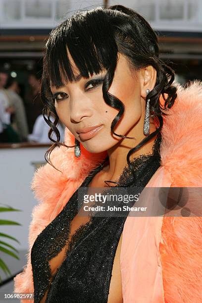 Bai Ling during 2006 Cannes Film Festival - "Southland Tales" Cocktail Party on the Budweiser Select "Big Eagle" Yacht at Budweiser Select "Big...
