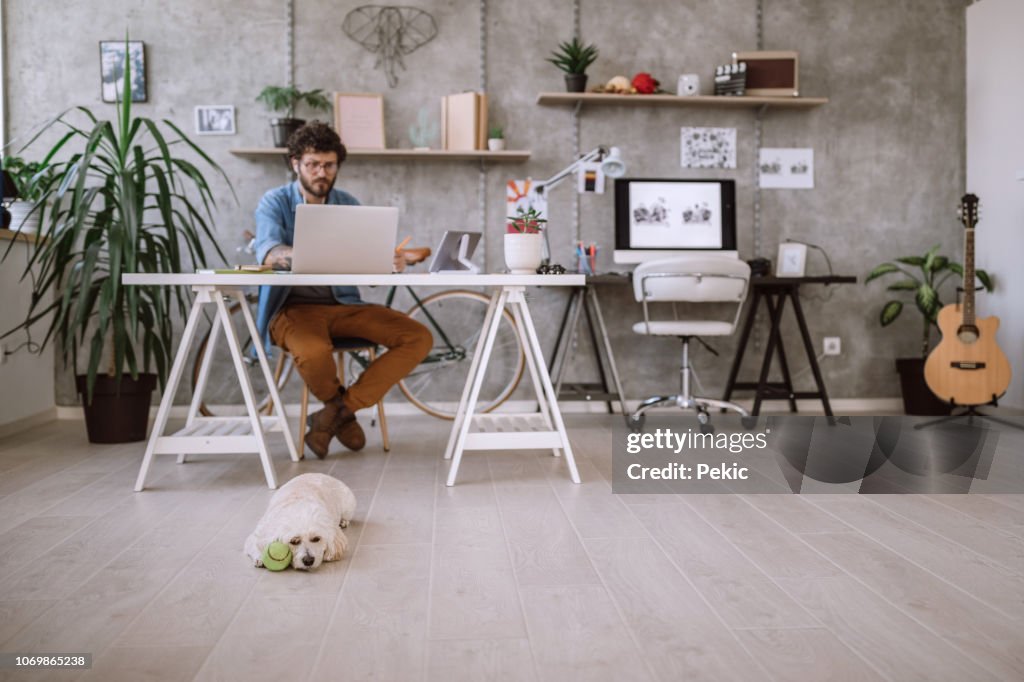 Busy Young Freelancer at home office