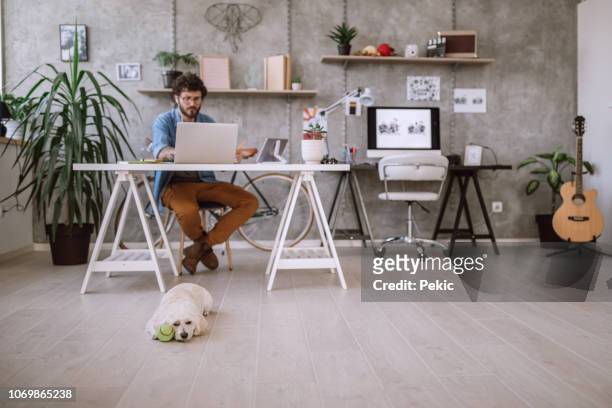busy young freelancer at home office - teleworking hipster stock pictures, royalty-free photos & images