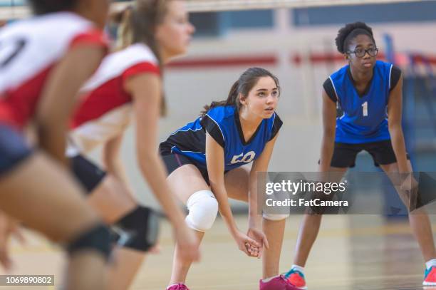 women's volleyball match - university athletics stock pictures, royalty-free photos & images