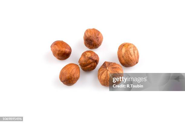 hazelnuts nut isolated on the white background - nocciola foto e immagini stock