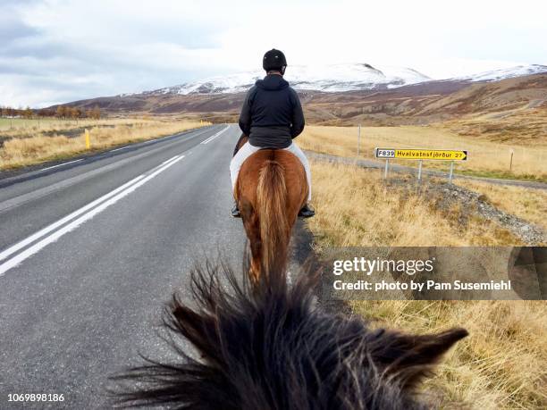 horseback riding in northern iceland - horse riders stock pictures, royalty-free photos & images