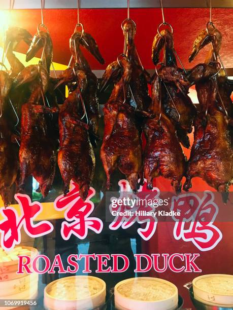 roasted duck in chinese restaurant - msg stock pictures, royalty-free photos & images