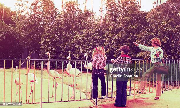 vintage familiedag in de dierentuin - 80's retro stockfoto's en -beelden