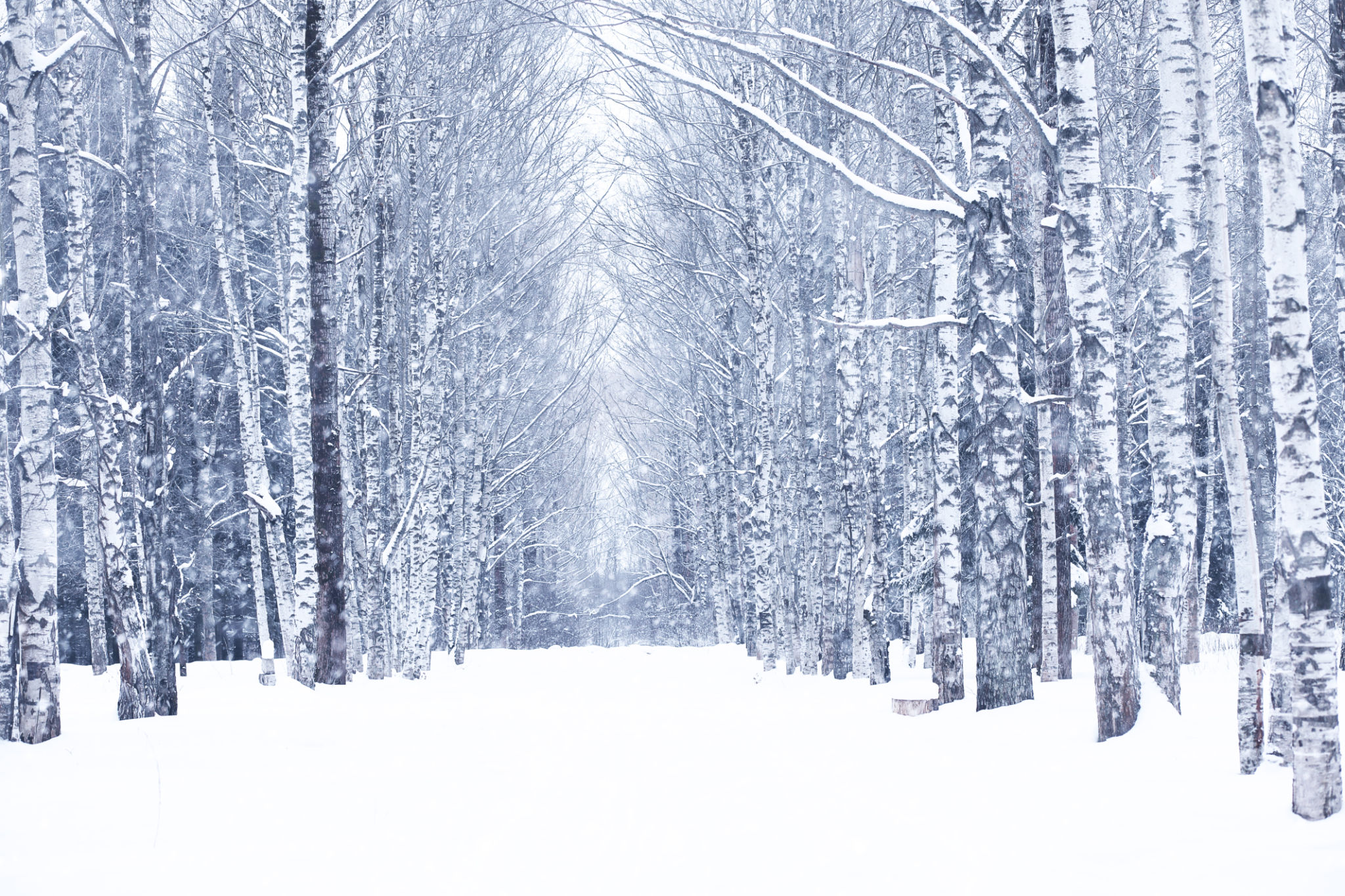 winter wisconsin