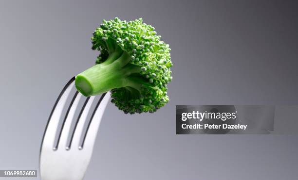 broccoli floret on a fork - brécol fotografías e imágenes de stock