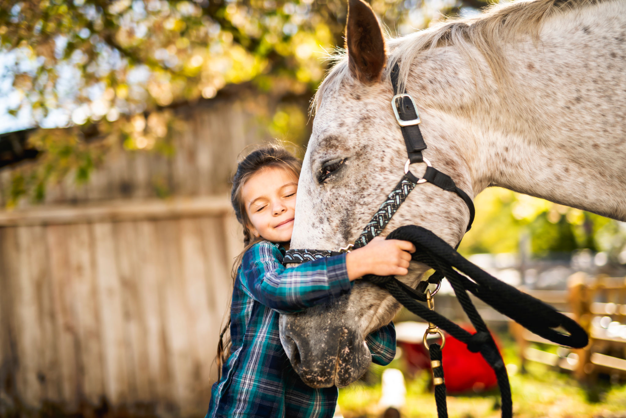 children animals