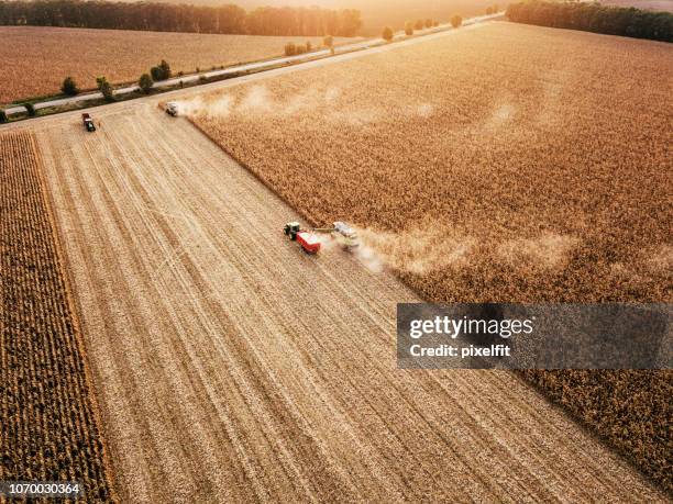 panoramablick über felder bei der ernte - monoculture stock-fotos und bilder