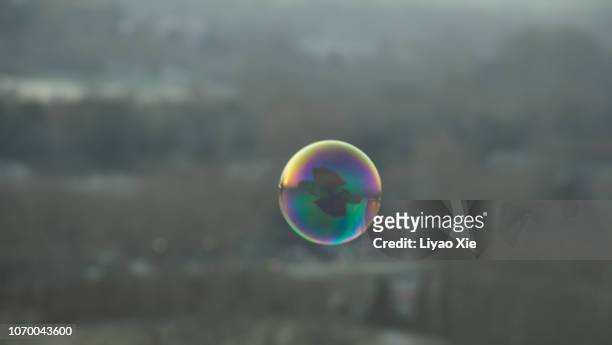 a colorful bubble - rainbow forrest abstract bildbanksfoton och bilder