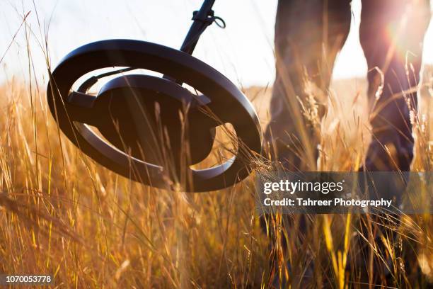 a man using recreational metal detector - finding treasure stock pictures, royalty-free photos & images