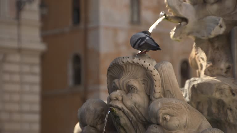 Grotesque Rome 18 Grotesque Mask Stock Videos, Footage, & 4K Video Clips - Getty Images