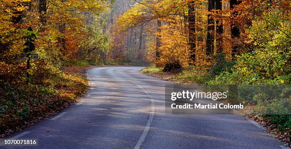 Sinuous Road In Autumn High-Res Stock Photo - Getty Images