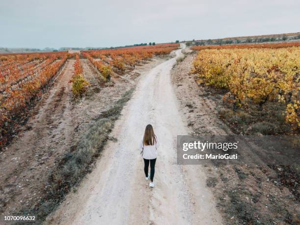 teenager girl walking on dirt road - high angle view walking stock pictures, royalty-free photos & images