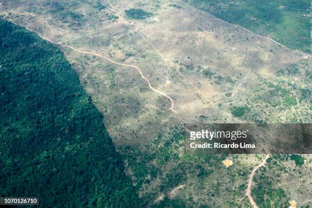 amazon deforestation, southern para state, brazil - amazonas state brazil stock-fotos und bilder