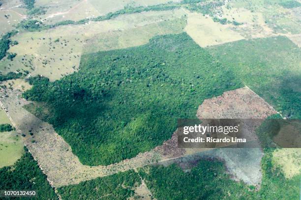 aerial view of deforested area in amazon region, southern para state, brazil - amazon rainforest deforestation brazil stock pictures, royalty-free photos & images
