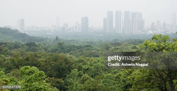 green cover at aarey colony in mumbai - mumbai skyline stock-fotos und bilder