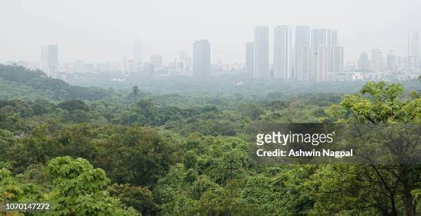 green cover at aarey colony in mumbai - mumbai skyline stock pictures, royalty-free photos & images